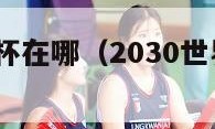 2030世界杯在哪（2030世界杯在哪里）