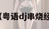 粤语dj（粤语dj串烧经典老歌）