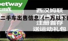 1万以下二手车出售信息（一万以下的二手车有哪些）