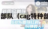 cag特种部队（cag特种部队标志）