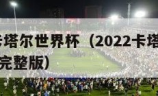 2022卡塔尔世界杯（2022卡塔尔世界杯回放完整版）