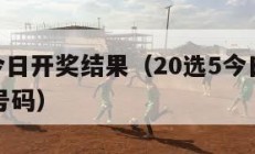 20选5今日开奖结果（20选5今日开奖结果中奖号码）