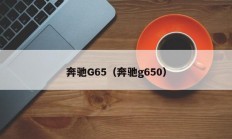 奔驰G65（奔驰g650）