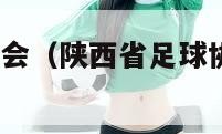 陕西省足球协会（陕西省足球协会官网e级报名）