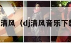 dj清风（dj清风音乐下载）