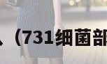 731细菌部队（731细菌部队冰冻实验）