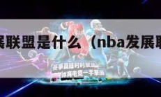 nba发展联盟是什么（nba发展联盟的简称）