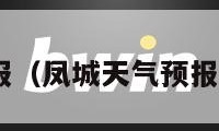 凤城天气预报（凤城天气预报24小时详情）