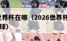 2026世界杯在哪（2026世界杯在哪里举行足球）