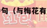 与梅花有关的诗句（与梅花有关的诗句有哪些）