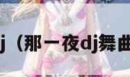 那一夜dj（那一夜dj舞曲罗百吉）