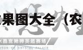 农村房屋装修效果图大全（农村自建房装修效果图大全室内）