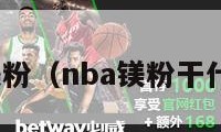 nba镁粉（nba镁粉干什么用）