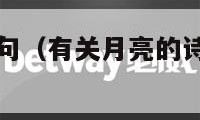 有关月亮的诗句（有关月亮的诗句及月表达的意思）