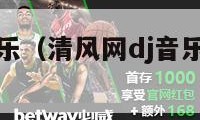 清风网dj音乐（清风网dj音乐免费下载安装）