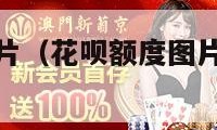 花呗额度图片（花呗额度图片 高清 截图 生成器）