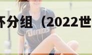 2022世界杯分组（2022世界杯分组图）