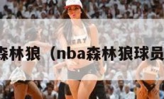 nba森林狼（nba森林狼球员名单）