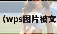 wps图片（wps图片被文字挡住了）