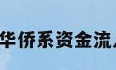 壳公司（华侨系资金流入壳公司）