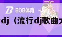 流行dj（流行dj歌曲大全）