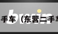 东营二手车（东营二手车市场）