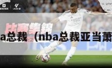 nba总裁（nba总裁亚当萧华）