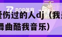 我是一个被爱伤过的人dj（我是一个被爱伤过的人DJ版舞曲酷我音乐）