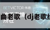 经典dj歌曲老歌（dj老歌经典大全）