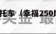 幸福250摩托车（幸福250摩托车图片 价格）