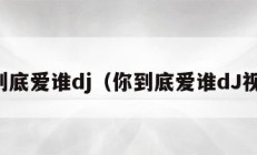 你到底爱谁dj（你到底爱谁dJ视频）