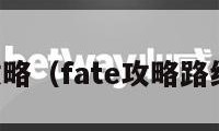 fate攻略（fate攻略路线选项）