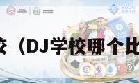 dj学校（DJ学校哪个比较好）