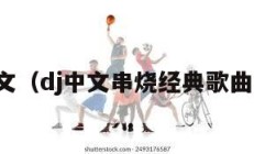 dj中文（dj中文串烧经典歌曲大全）