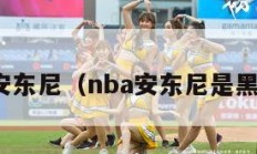 nba安东尼（nba安东尼是黑社会）