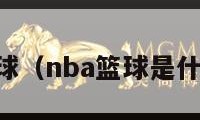 NBA篮球（nba篮球是什么牌子）