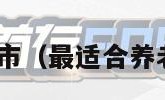 房价最低的城市（最适合养老10个小城市）