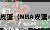 nba皮蓬（NBA皮蓬小说）