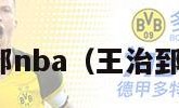 王治郅nba（王治郅NBA）