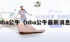 nba公牛（nba公牛最新消息）