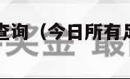 足球比赛结果查询（今日所有足球比赛结果查询）